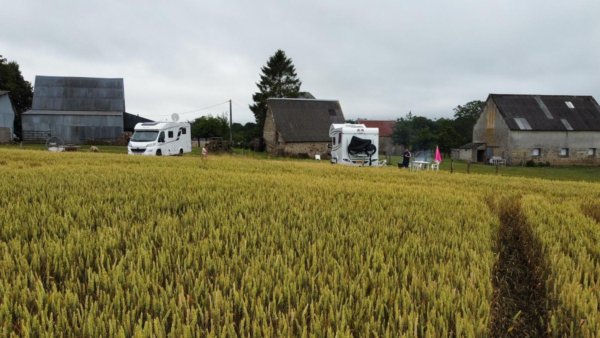 La Billardiere Camping A La Ferme Le Menil-Ciboult Kültér fotó