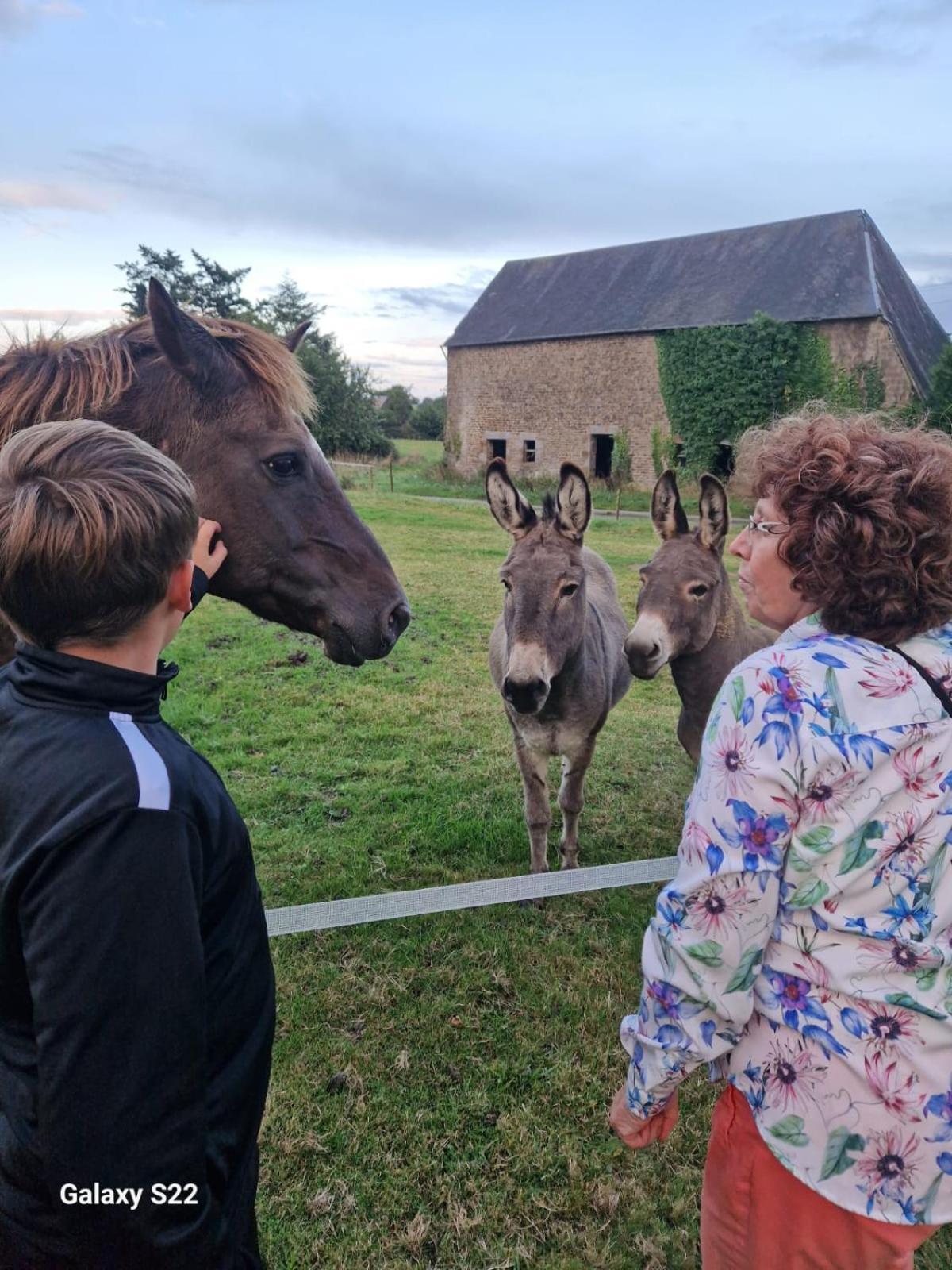 La Billardiere Camping A La Ferme Le Menil-Ciboult Kültér fotó